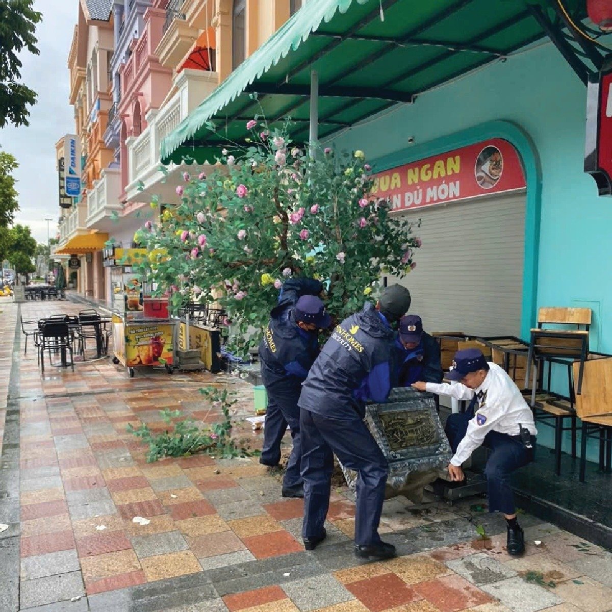 ocean city khắc phục hậu quả bão Yagi 1.jpg